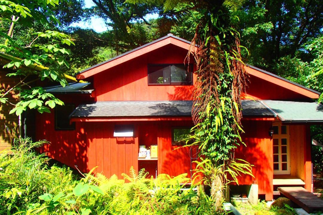 Photo of Others in Yakushima