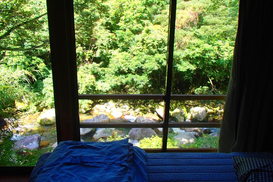 Photo of Others in Yakushima