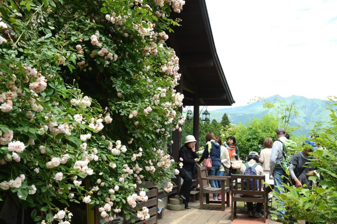 Photo of Others in Minamiaso