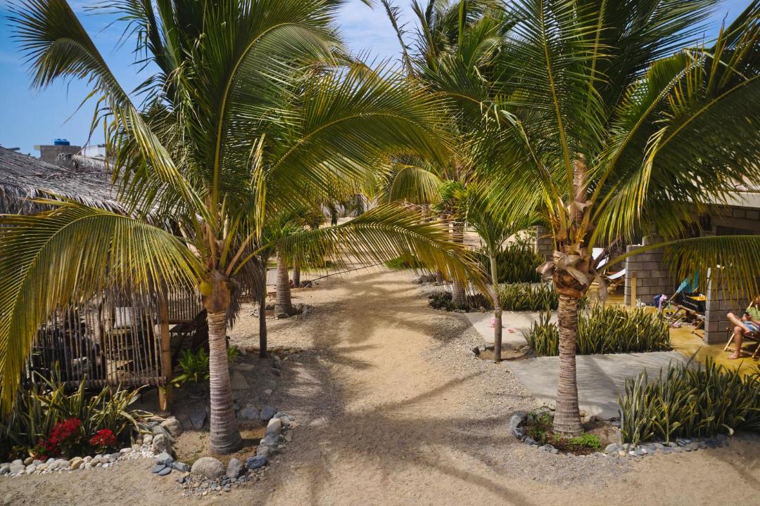 Photo of Others in Mancora