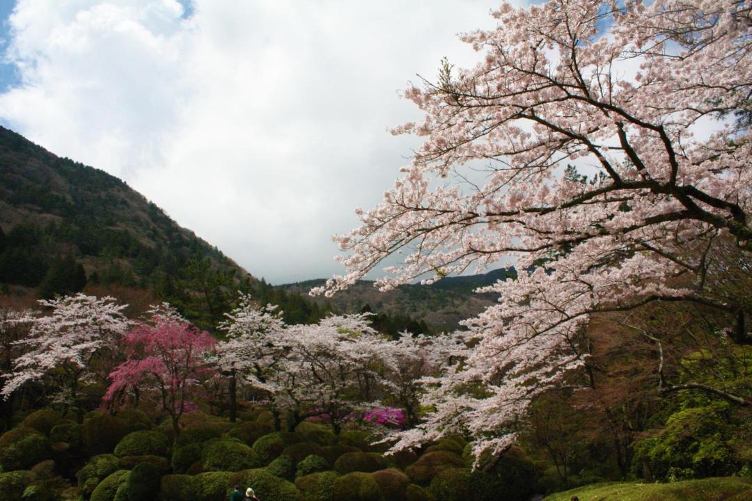Photo of Others in Hakone