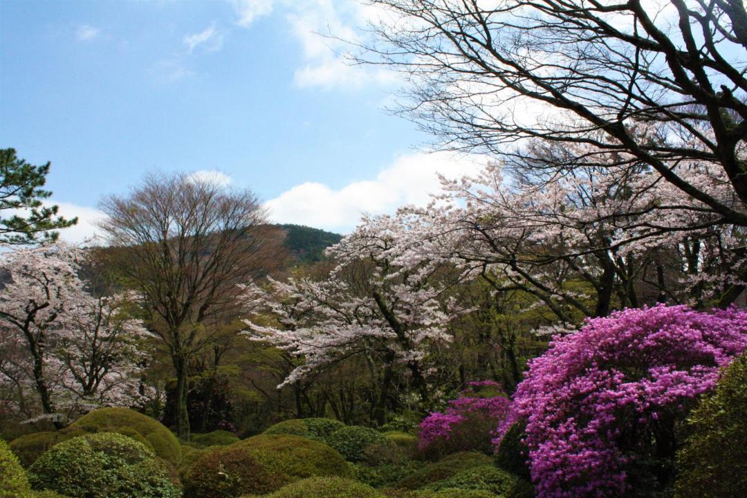 Photo of Others in Hakone