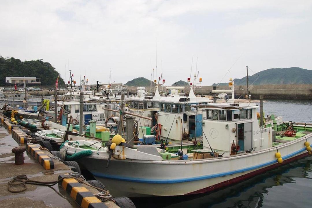 Photo of Others in Toba