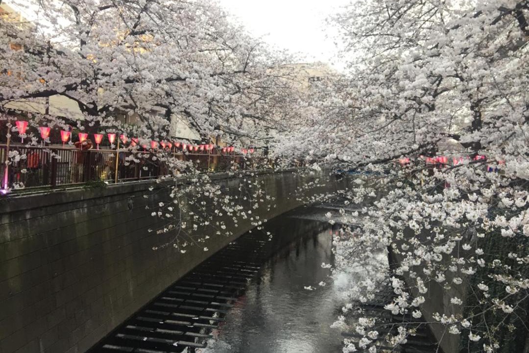 Photo of Others in Honmachi