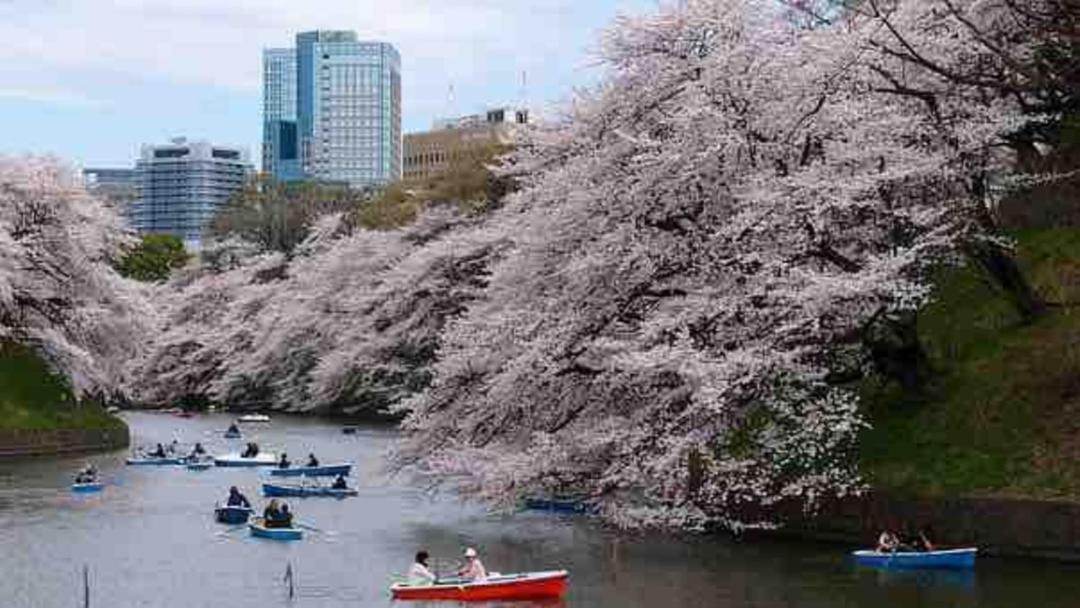 Photo of Others in Honmachi