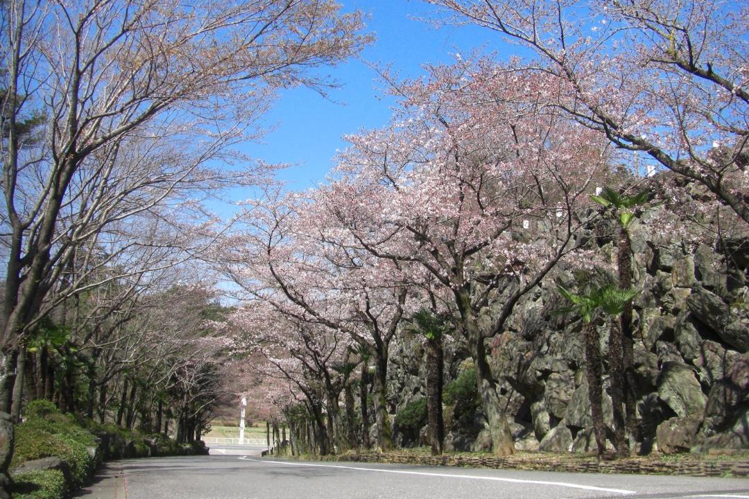 Photo of Outdoor in Kumagaya