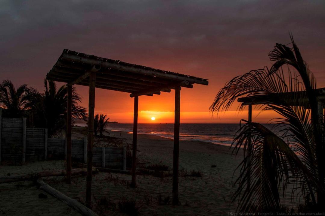 Photo of Others in Punta Sal