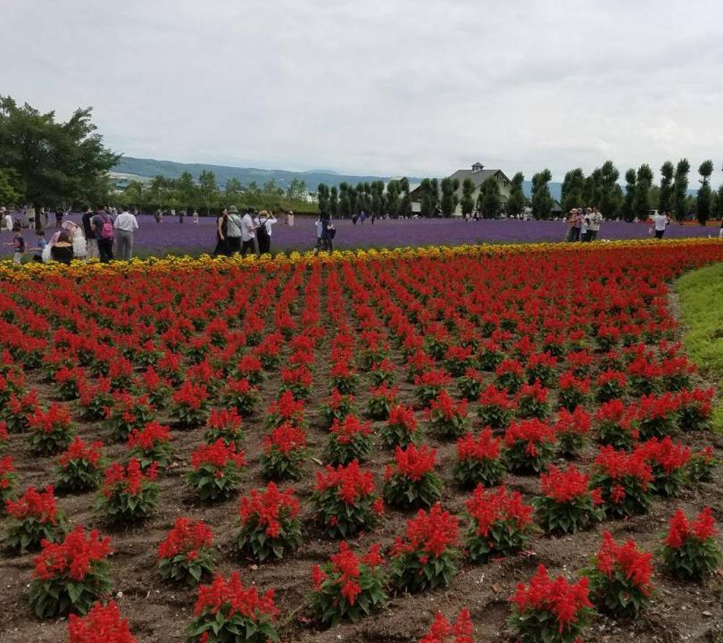 Photo of Others in Furano