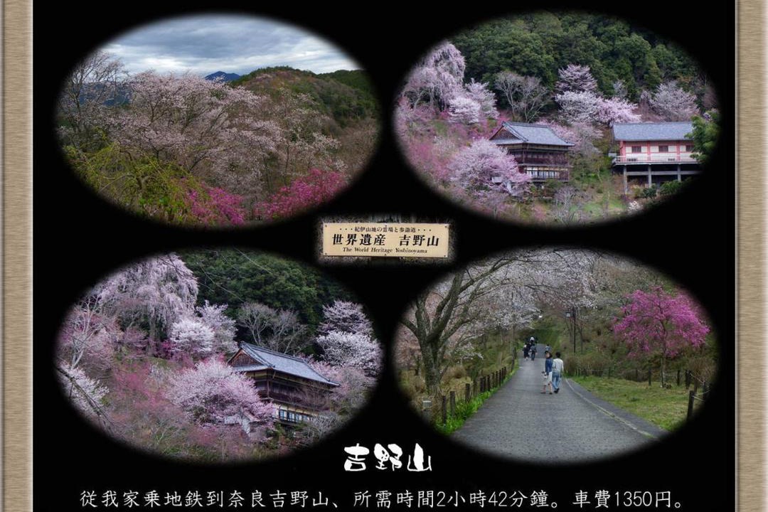 Photo of Others in Sakai Ward