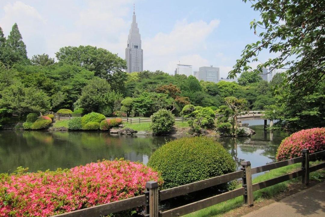 Photo of Others in Yotsuya