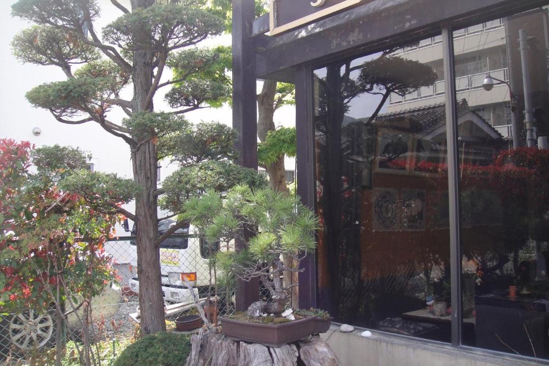 Photo of Others in Matsumoto