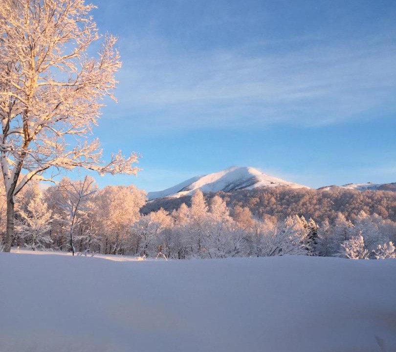 Photo of Others in Niseko