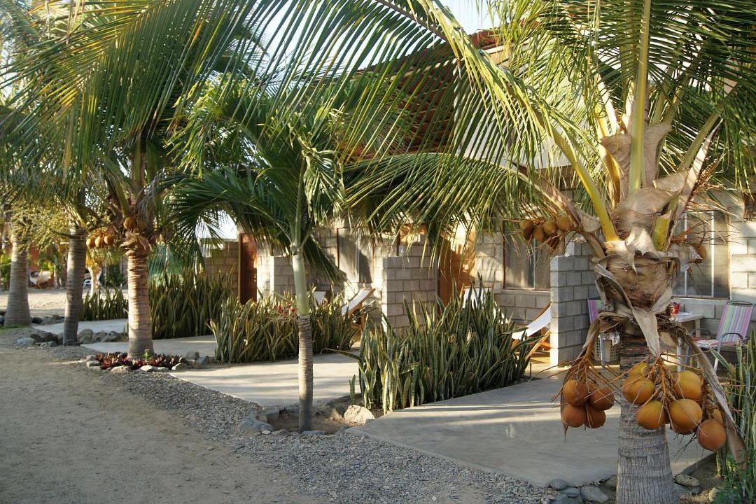 Photo of Others in Mancora