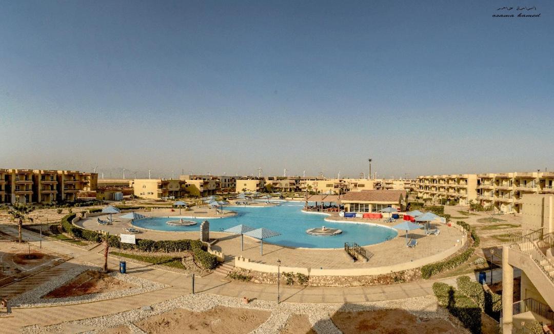 Photo of Others in Zafarana