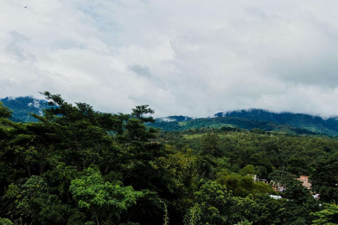 Photo of Others in Tarapoto