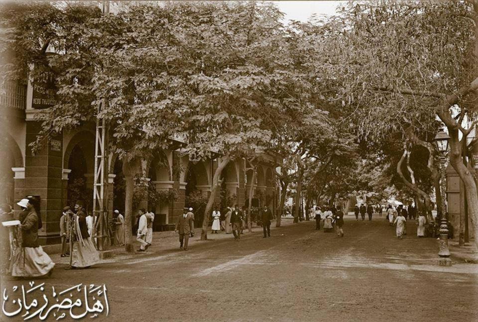 Photo of Others in Ash-Sharq