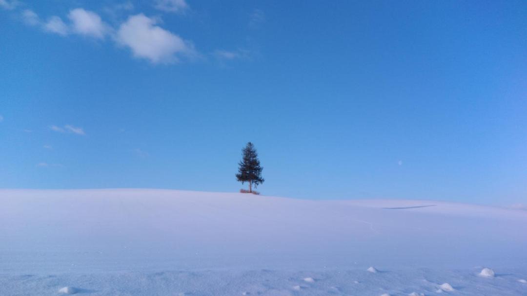 Photo of Others in Biei
