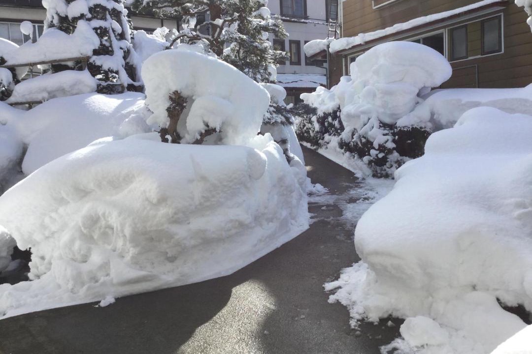 Photo of Others in Nozawaonsen
