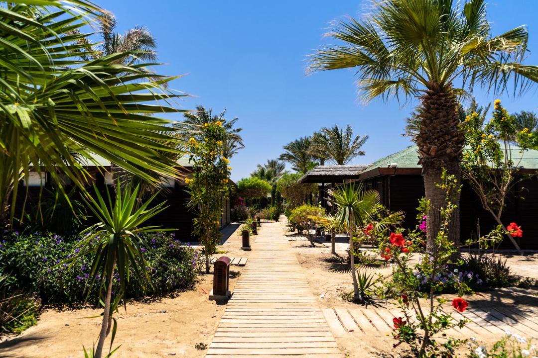 Photo of Others in Marsa Alam