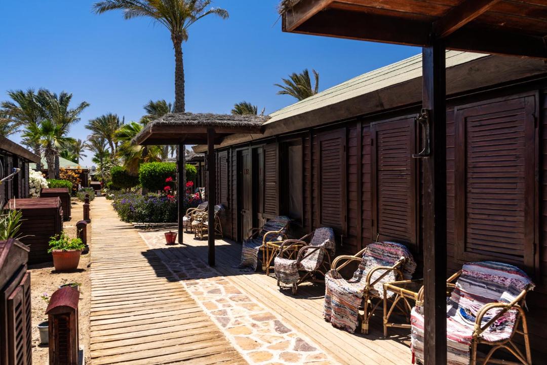 Photo of Others in Marsa Alam