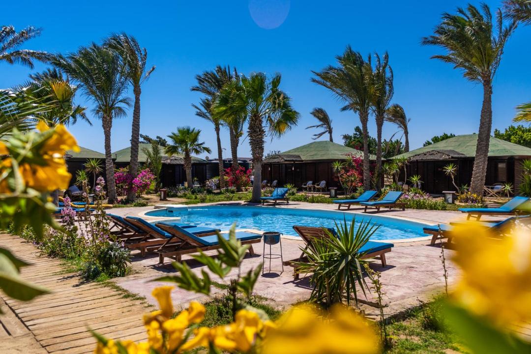 Photo of Others in Marsa Alam