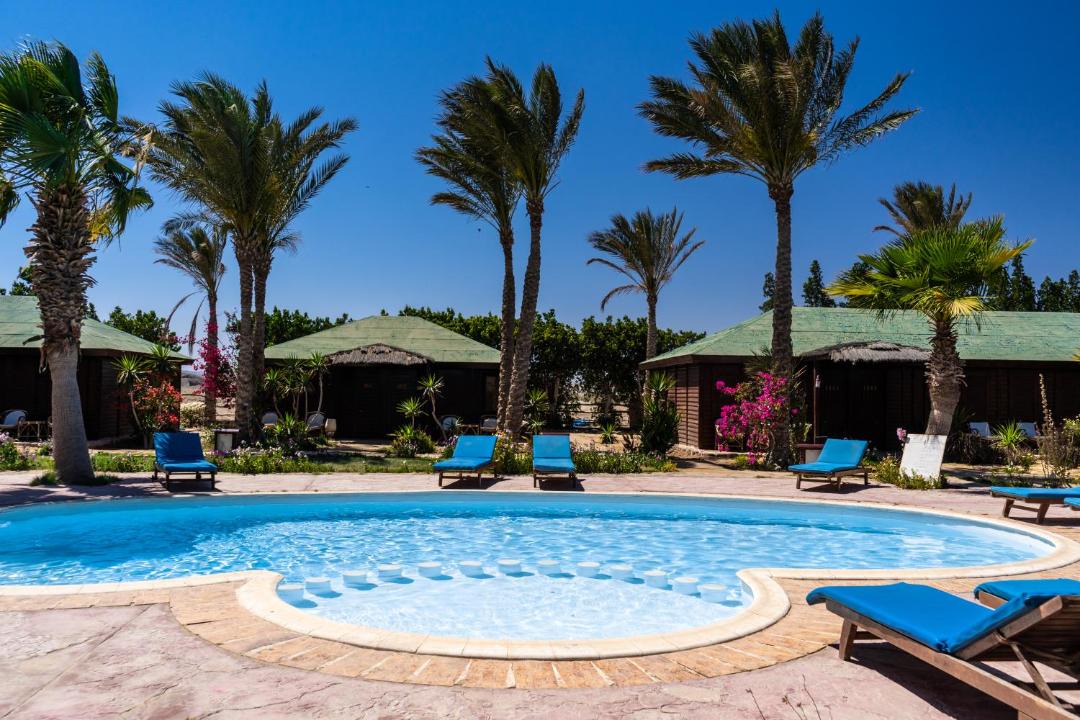 Photo of Others in Marsa Alam