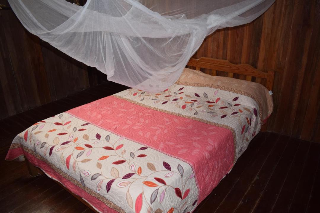 Photo of Others in Tingo Maria