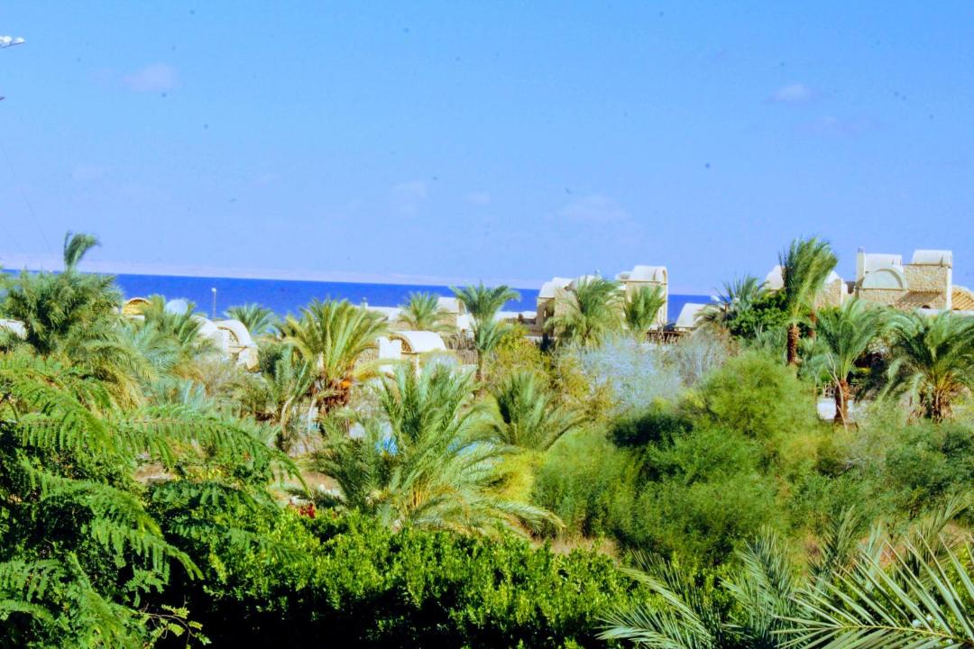 Photo of Others in Tunis Village