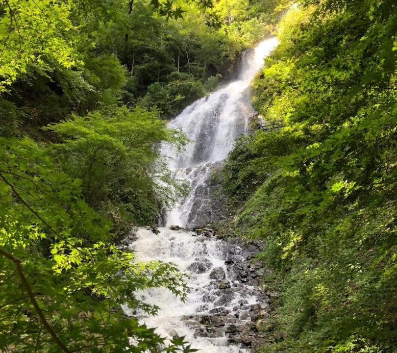 Photo of Others in Shuzenji