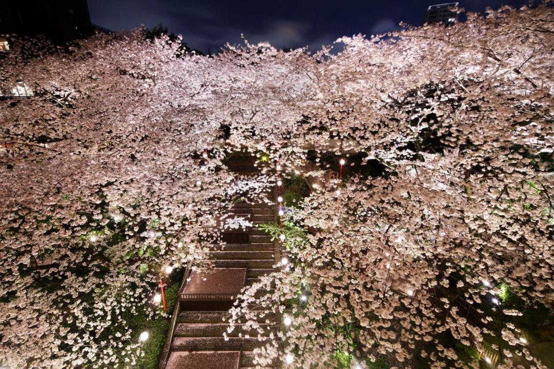 Photo of Others in Takanawa