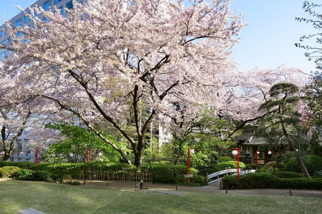 Photo of Others in Takanawa