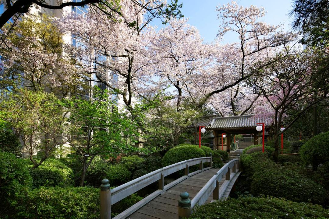 Photo of Others in Takanawa