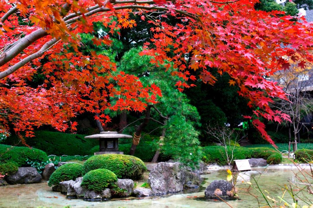 Photo of Others in Takanawa