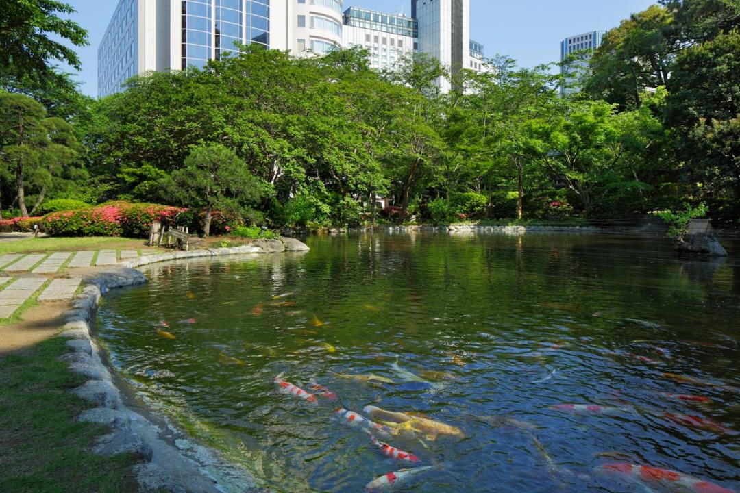 Photo of Others in Takanawa