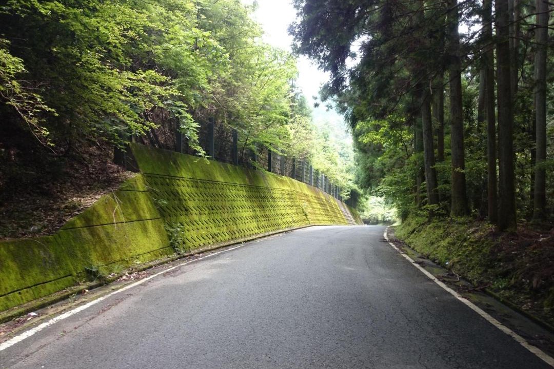 Photo of Others in Hashimoto