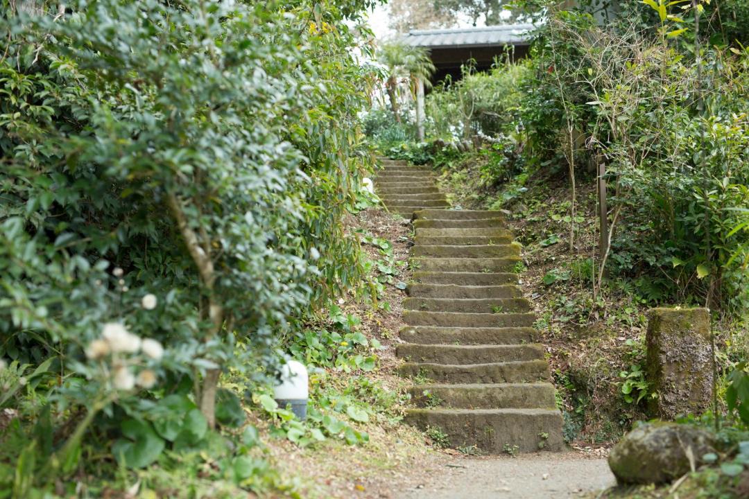 Photo of Others in Ibusuki