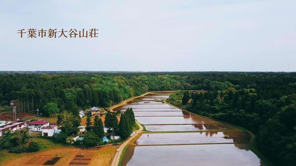 Photo of Others in Wakaba
