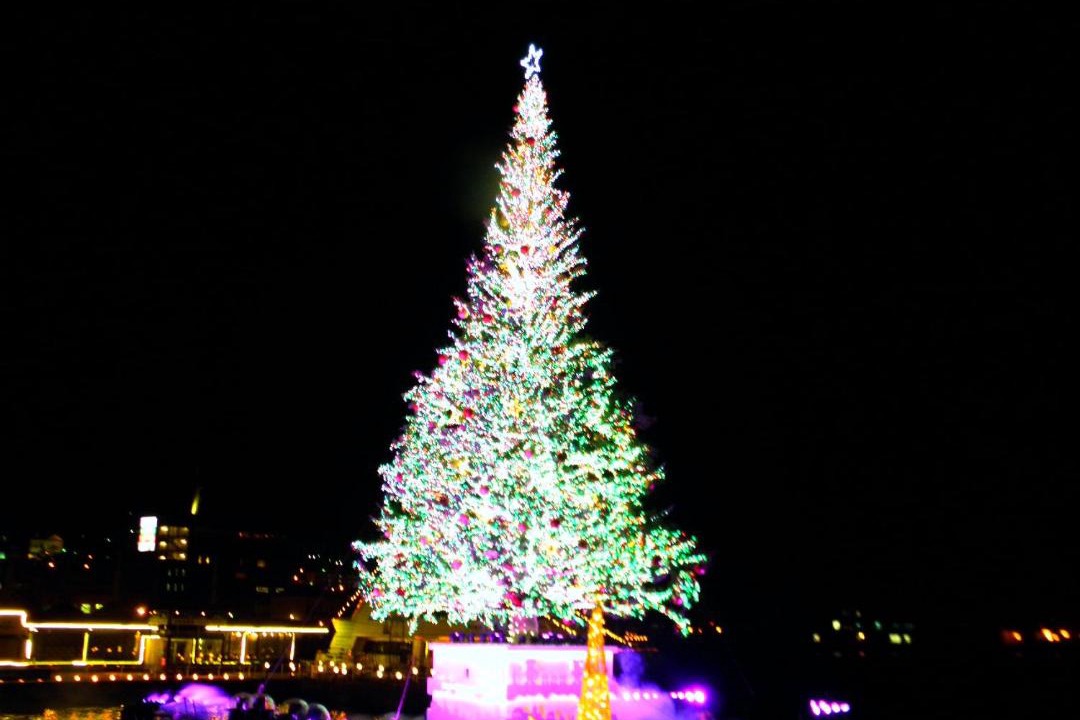 Photo of Others in Hakodate