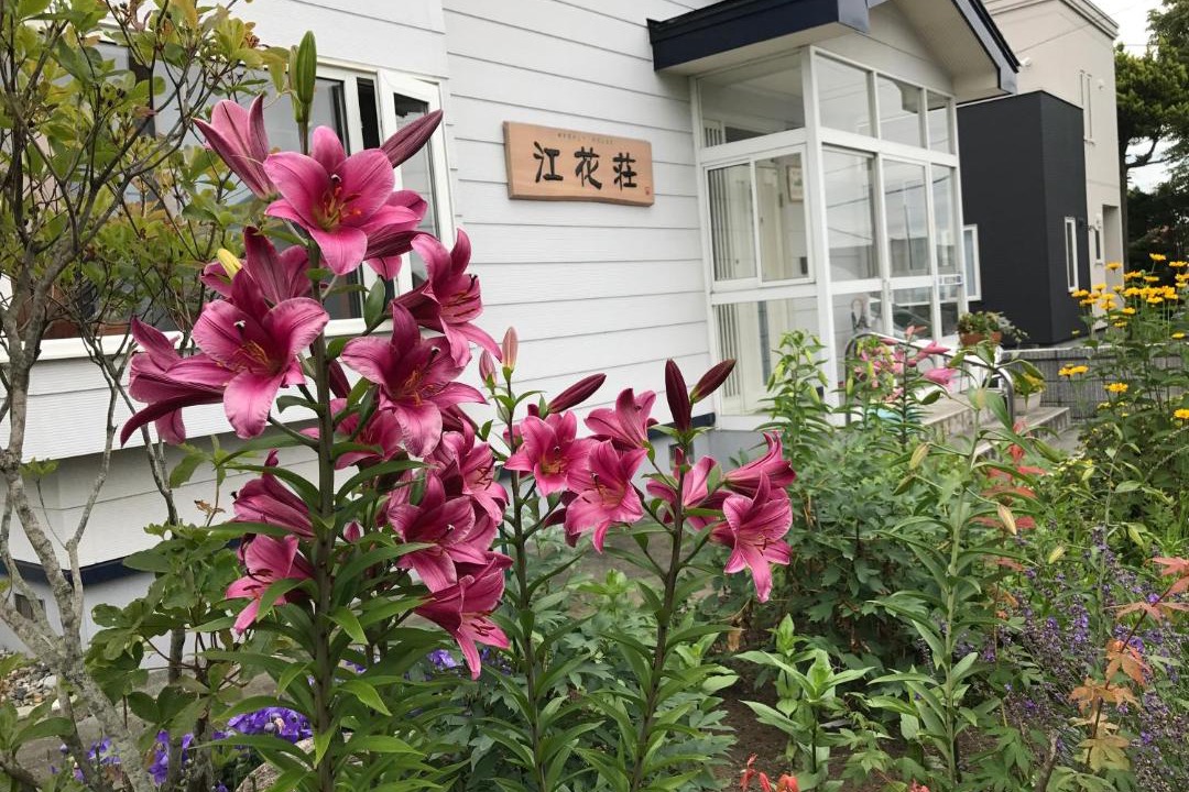 Photo of Others in Shimamatsumachi