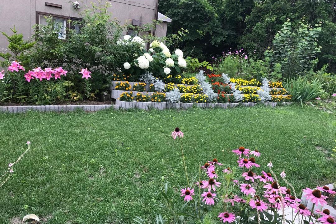 Photo of Others in Shimamatsumachi
