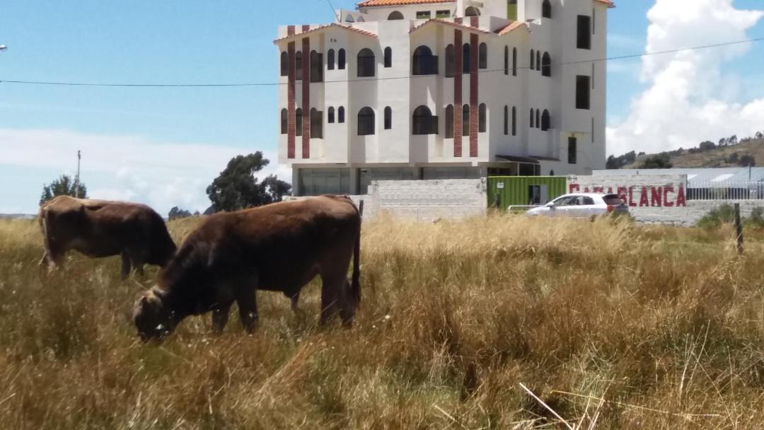 Photo of Others in Puno