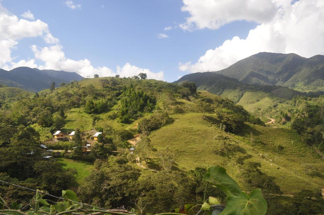Photo of Others in Oxapampa