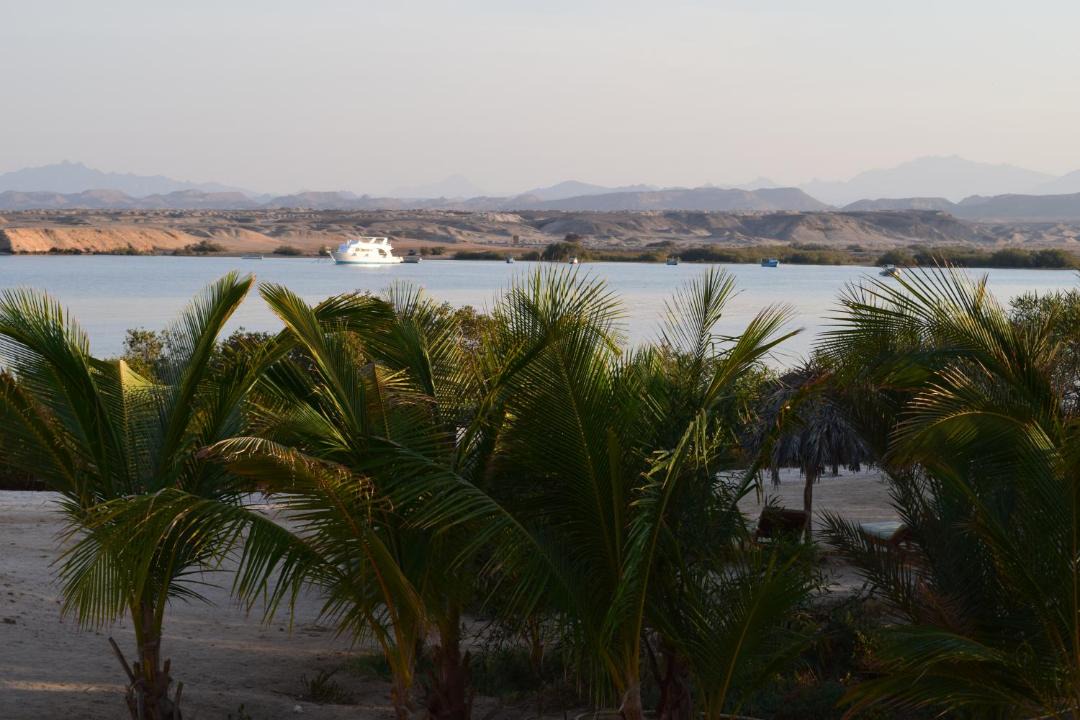 Photo of Others in Port Ghalib