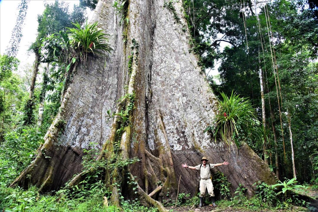 Photo of Others in Iquitos
