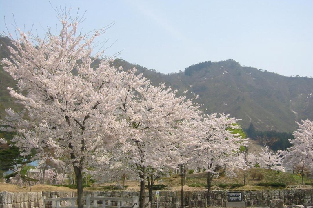 Photo of Others in Yuzawa-machi