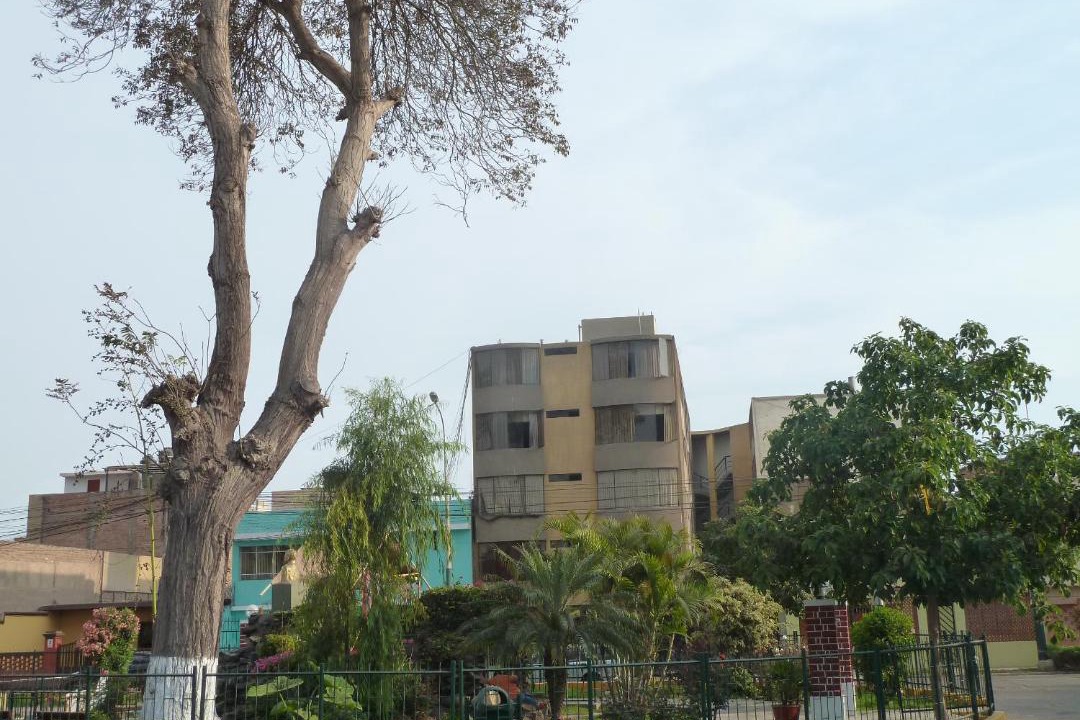 Photo of Buildings in Barranco