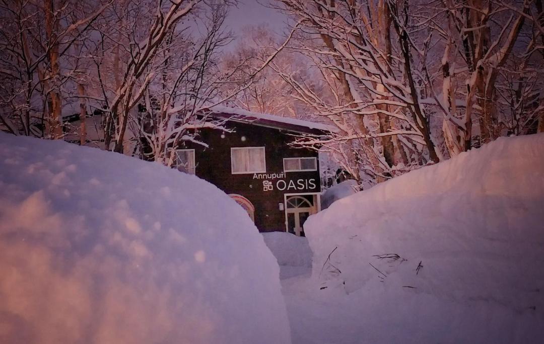 Photo of Others in Niseko