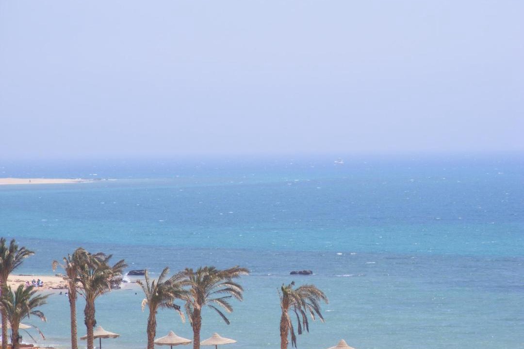 Photo of Others in Zafarana