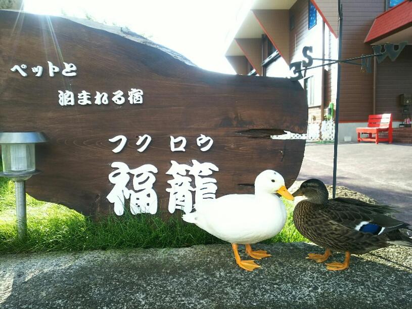 Photo of Others in Kushimoto