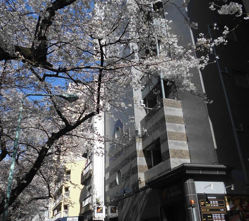 Photo of Others in Kitaotsuka